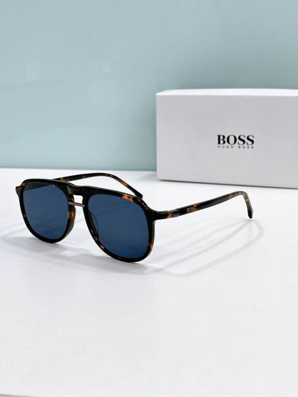 Boss Glasses 08smh01 (4)