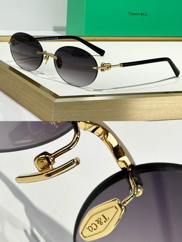 Bottega Veneta Glasses 08smh15 (1)