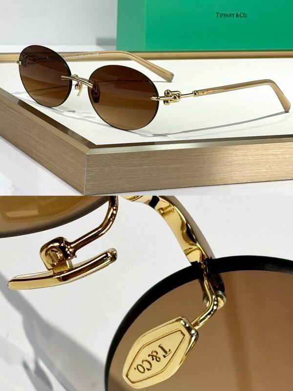 Bottega Veneta Glasses 08smh15 (2)