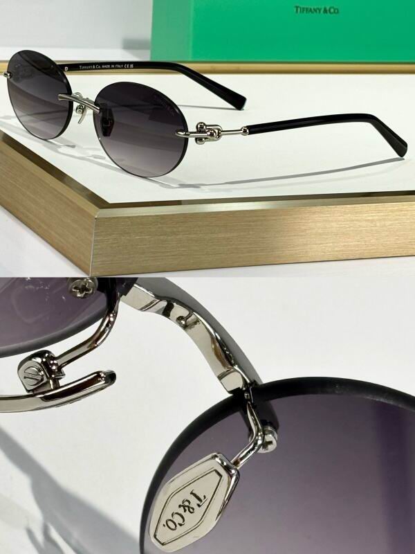 Bottega Veneta Glasses 08smh15 (3)