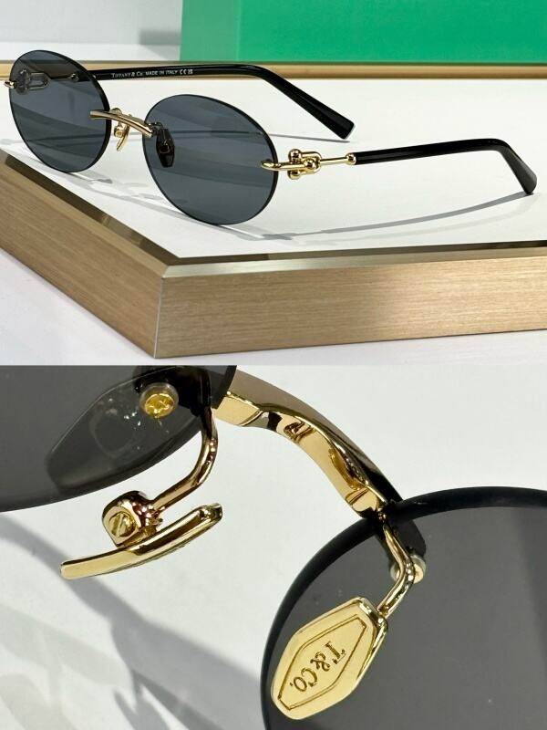 Bottega Veneta Glasses 08smh15 (4)