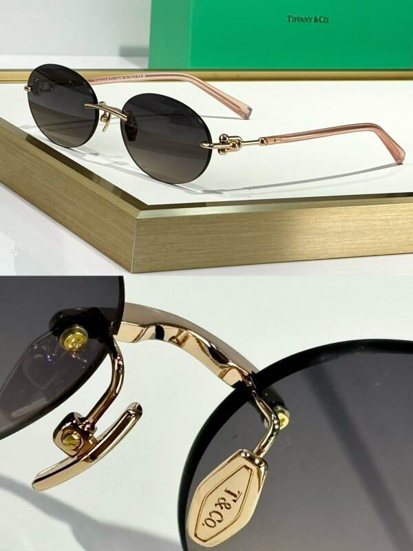 Bottega Veneta Glasses 08smh15 (5)