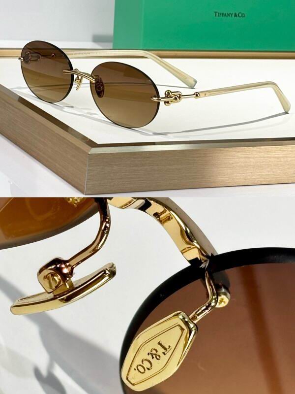 Bottega Veneta Glasses 08smh15 (6)