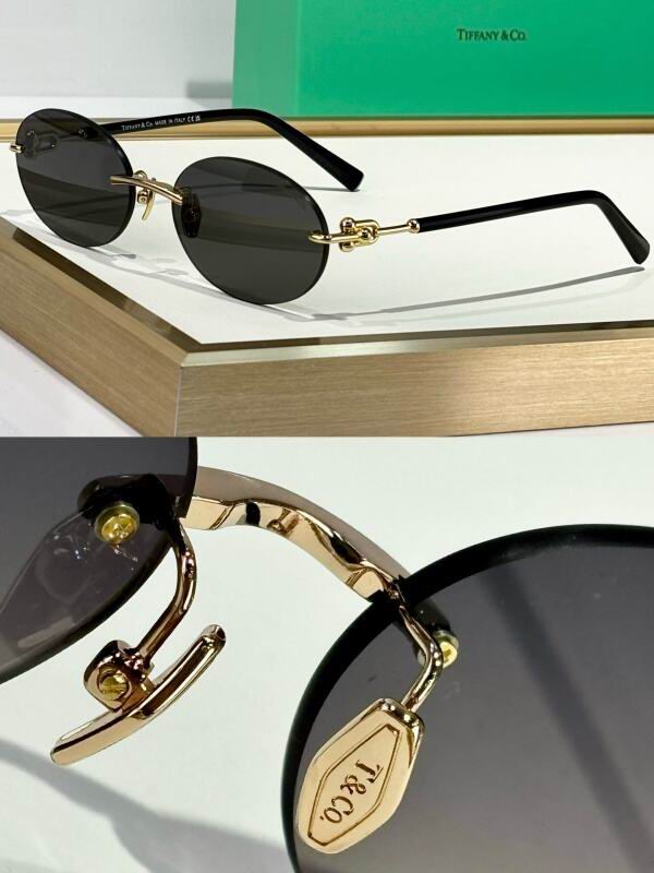 Bottega Veneta Glasses 08smh15 (8)