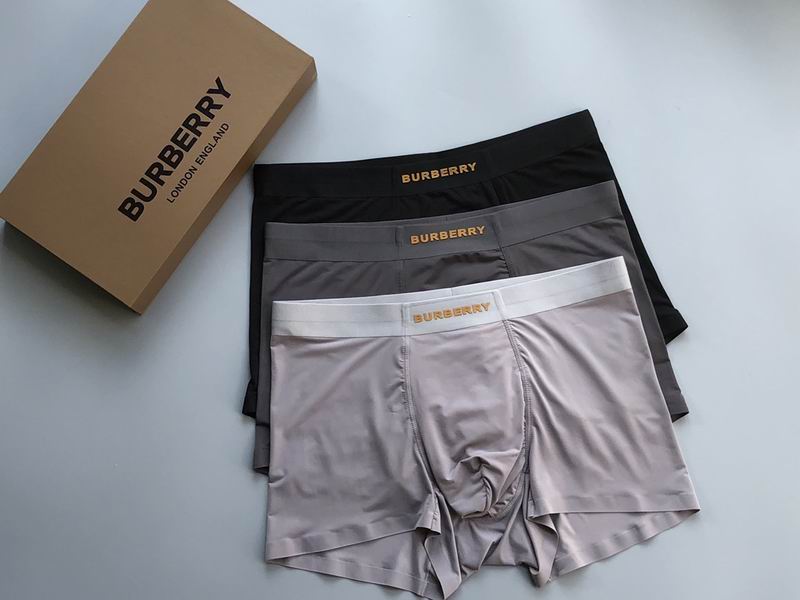 Burberry Boxer L-3XL  (1)