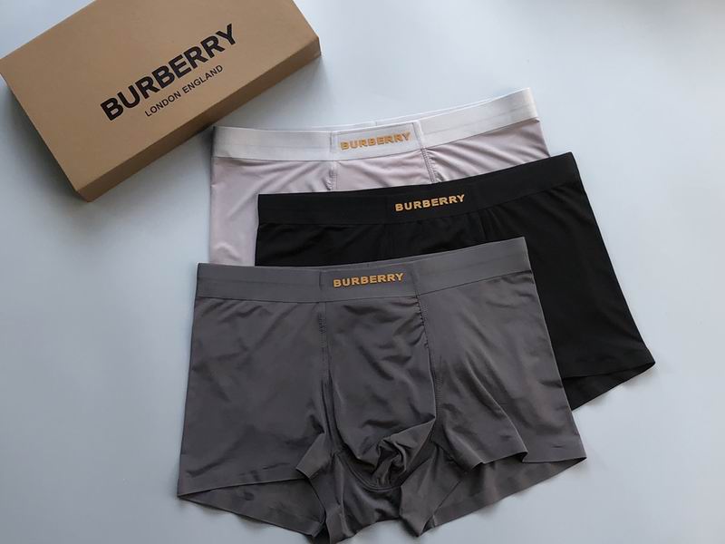 Burberry Boxer L-3XL  (2)