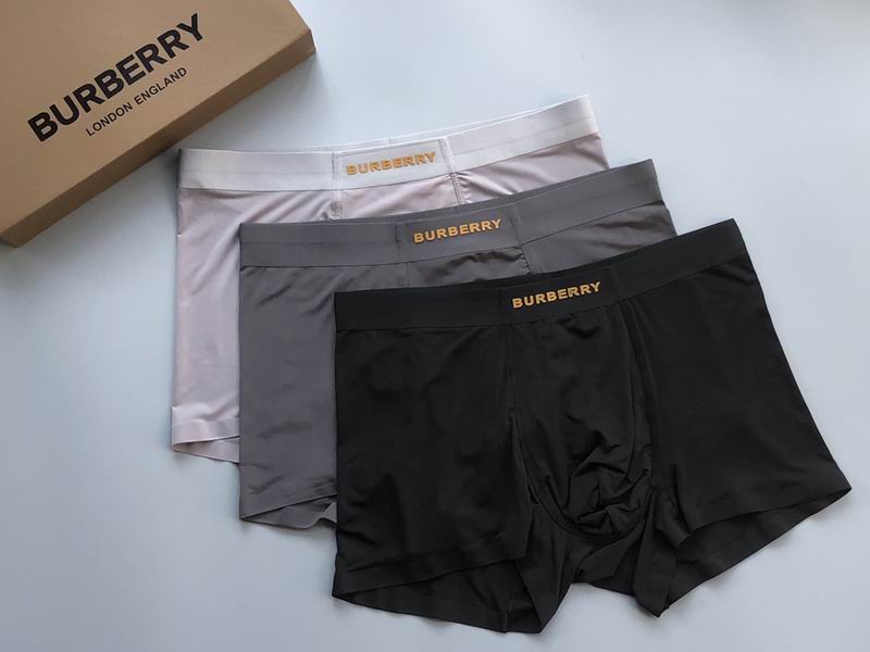 Burberry Boxer L-3XL  (3)