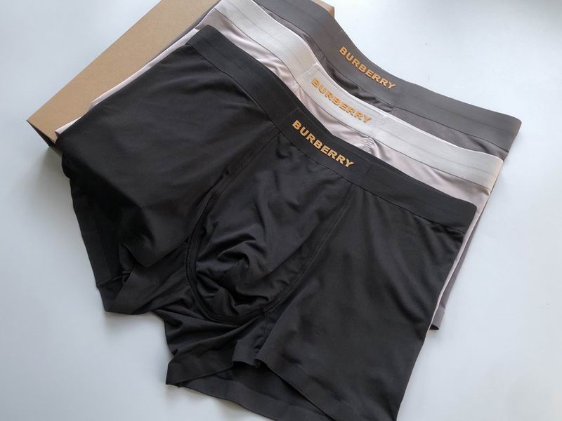 Burberry Boxer L-3XL  (4)