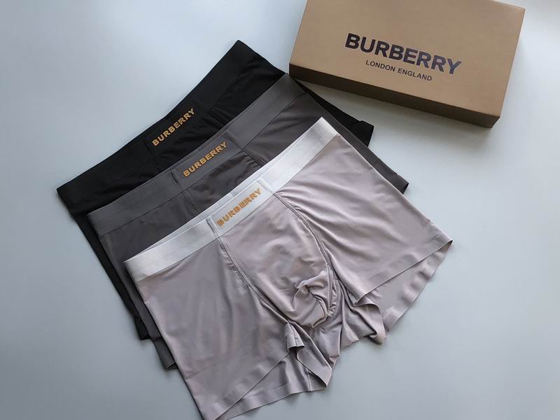 Burberry Boxer L-3XL  (5)