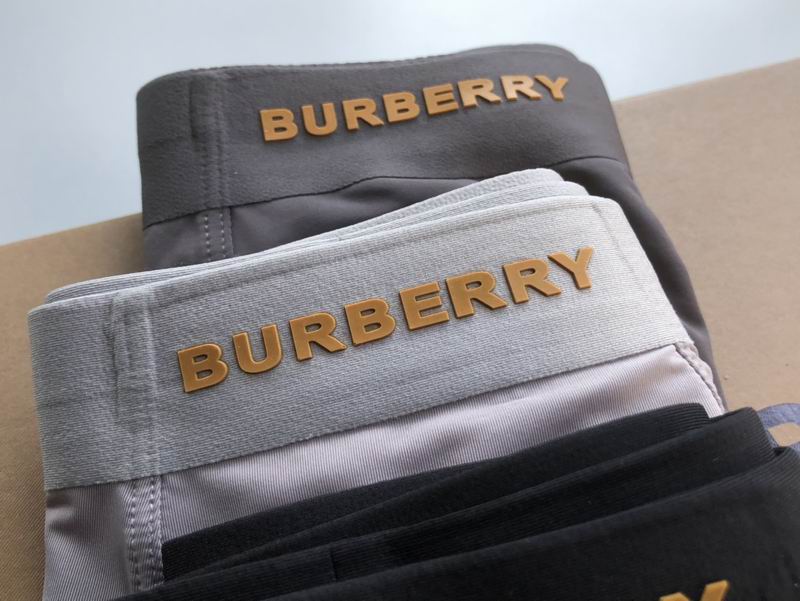 Burberry Boxer L-3XL  (6)