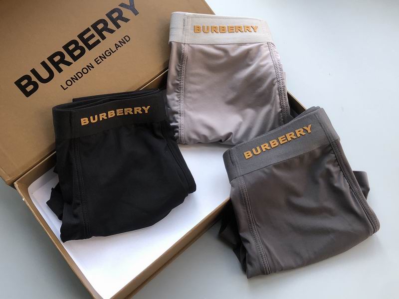 Burberry Boxer L-3XL  (7)