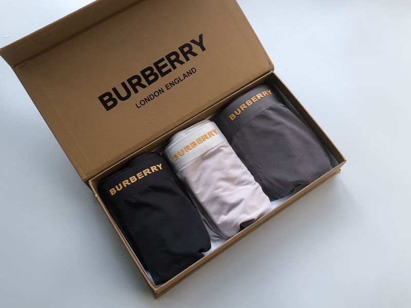 Burberry Boxer L-3XL  (8)
