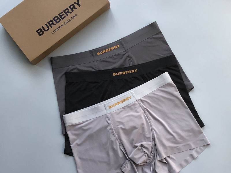 Burberry Boxer L-3XL  (9)