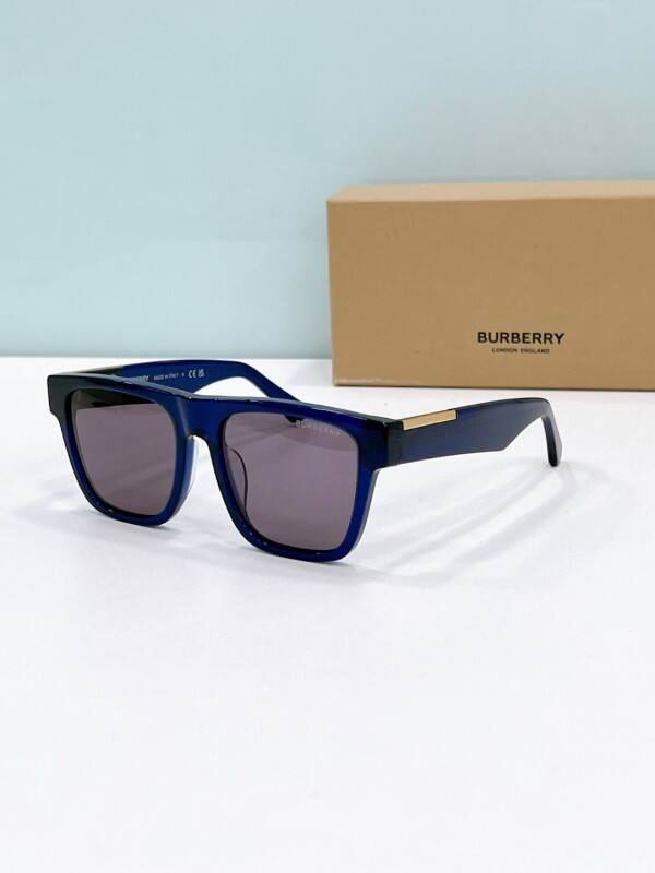 Burberry Glasses 08smh27 (6)