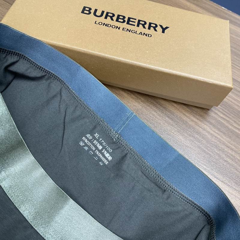Burberry boxer L-3XL (1)