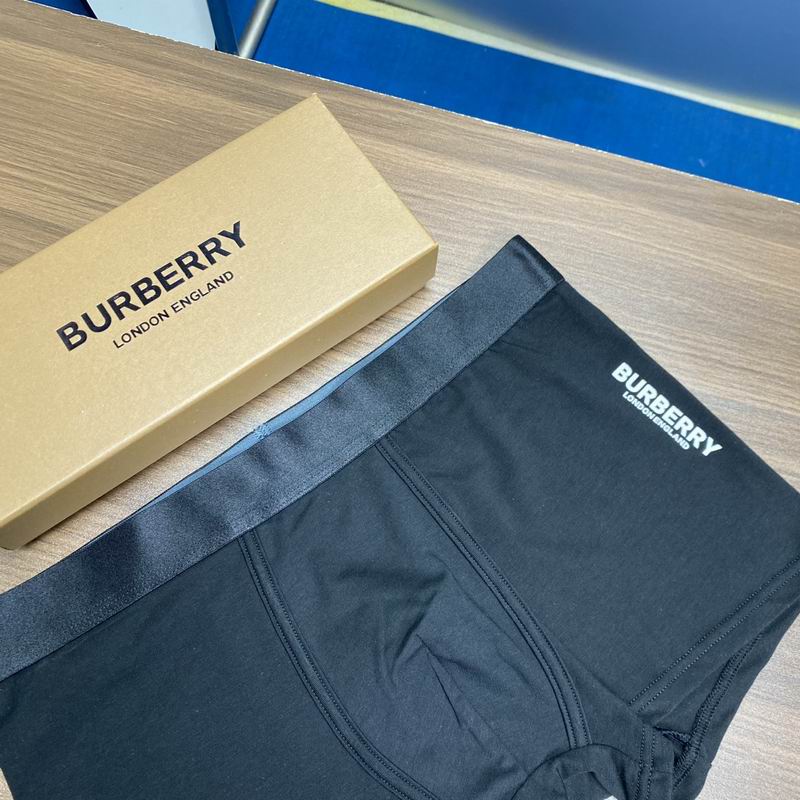 Burberry boxer L-3XL (2)
