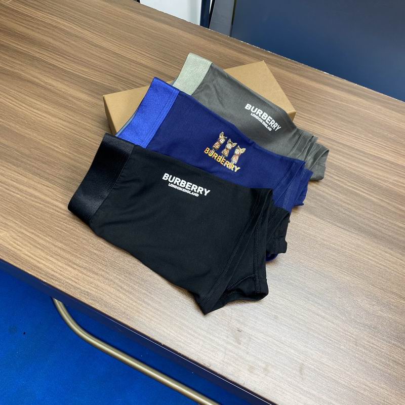Burberry boxer L-3XL (3)