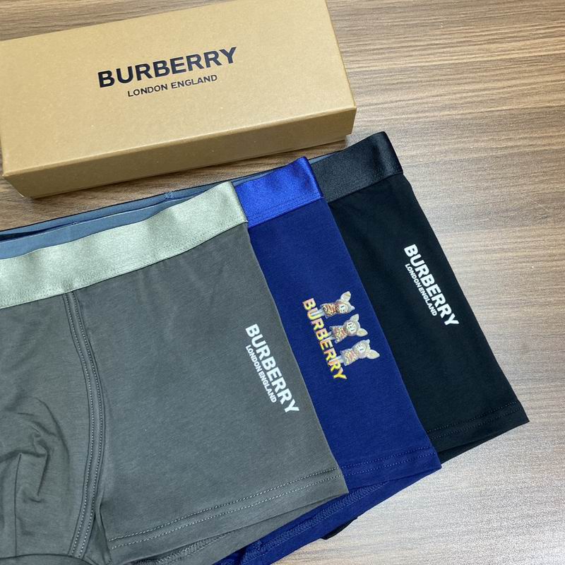 Burberry boxer L-3XL (4)