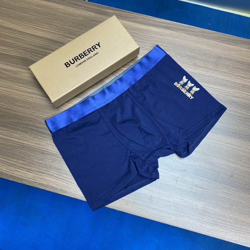 Burberry boxer L-3XL (5)