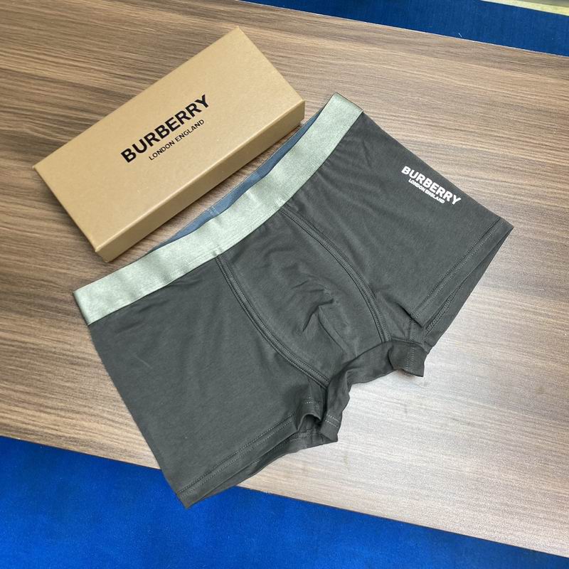 Burberry boxer L-3XL (6)