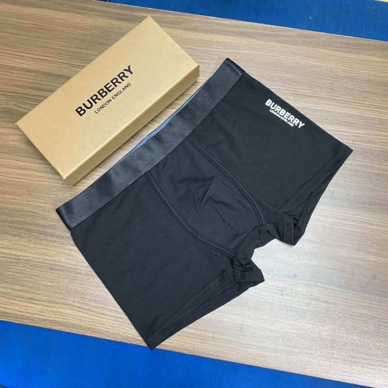 Burberry boxer L-3XL (7)