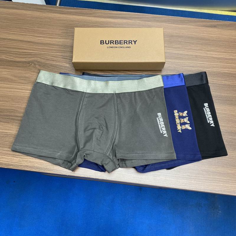 Burberry boxer L-3XL (8)