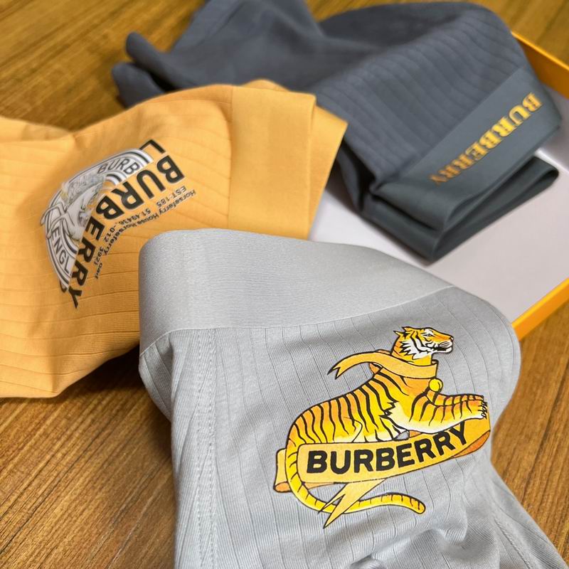 Burberry boxer L-3XL  (1)