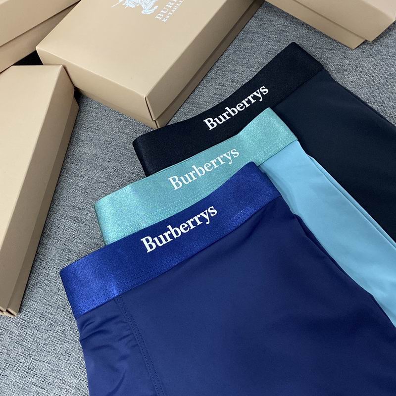 Burberry boxer L-3XL  (1)