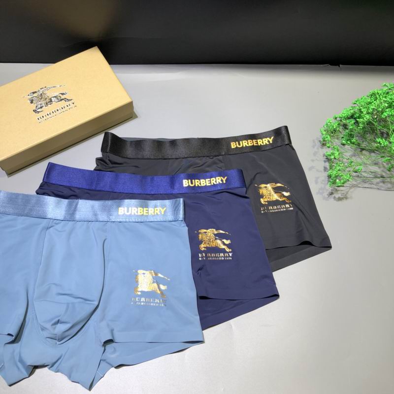 Burberry boxer L-3XL  (1)