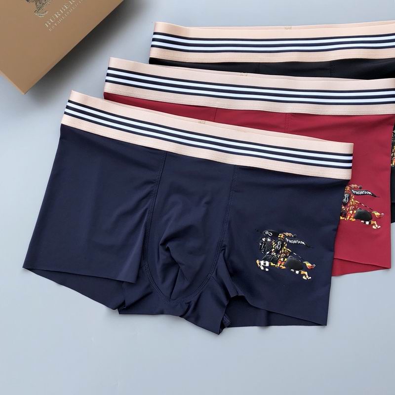 Burberry boxer L-3XL  (1)