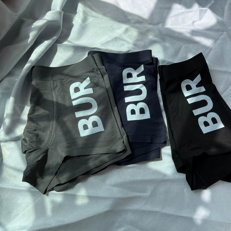 Burberry boxer L-3XL  (1)