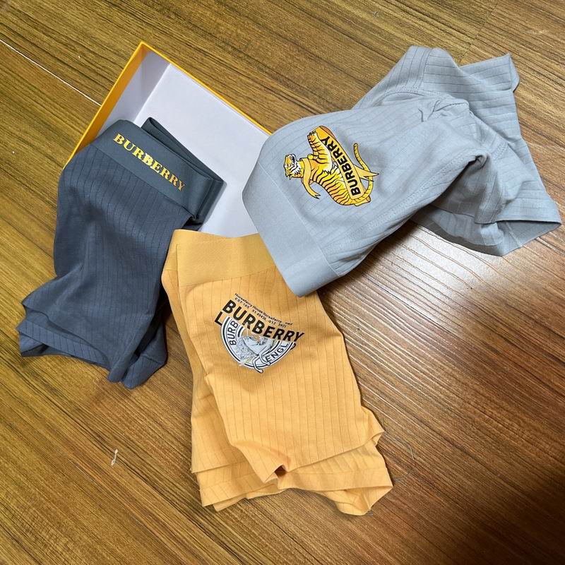 Burberry boxer L-3XL  (2)