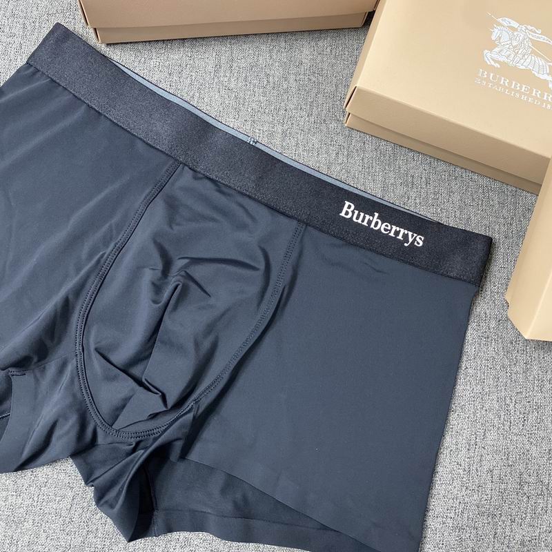 Burberry boxer L-3XL  (2)
