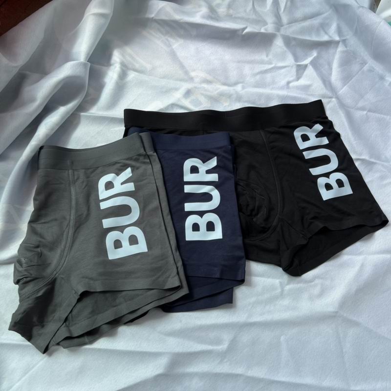 Burberry boxer L-3XL  (2)