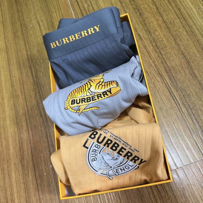 Burberry boxer L-3XL  (3)