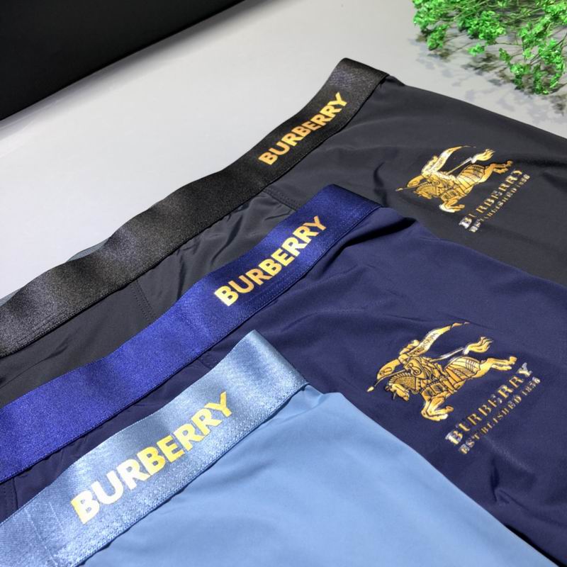 Burberry boxer L-3XL  (3)