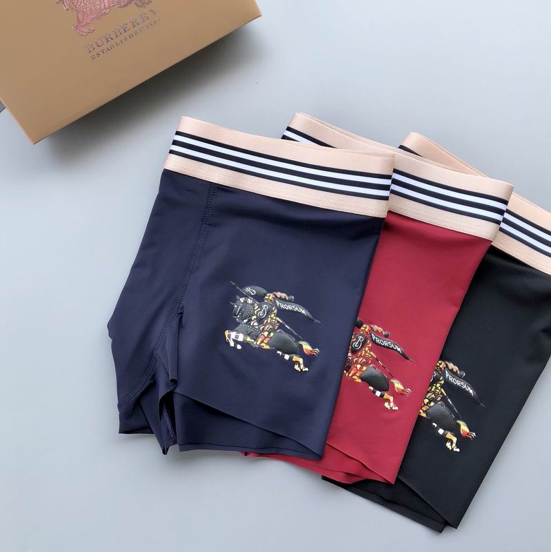 Burberry boxer L-3XL  (3)