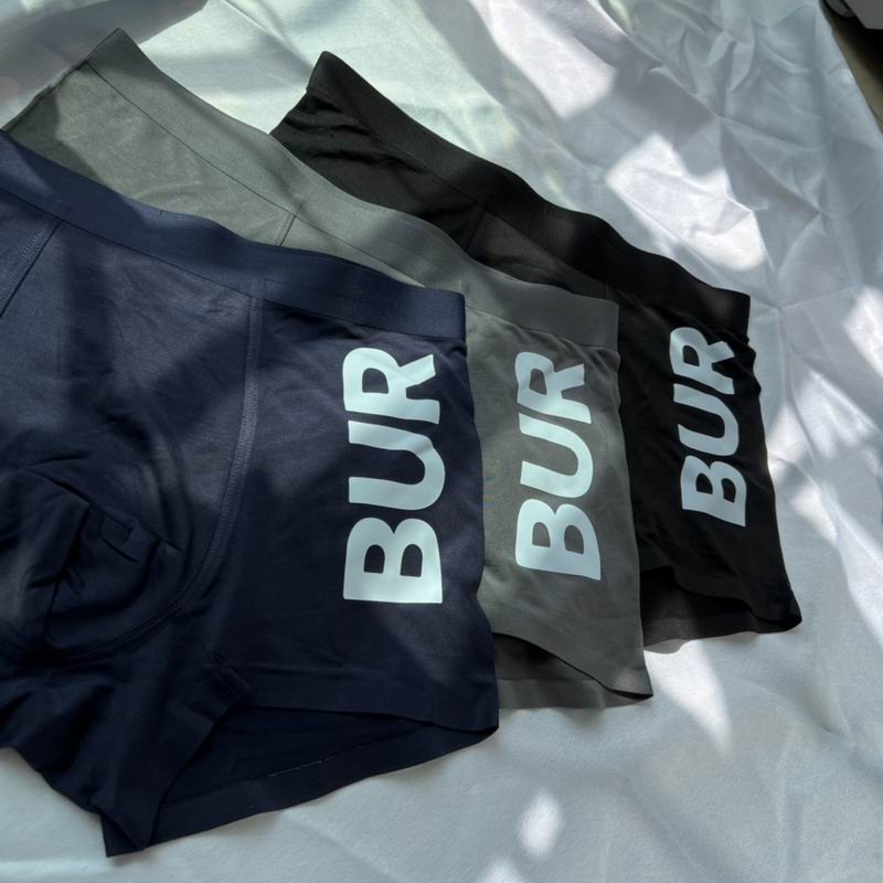 Burberry boxer L-3XL  (3)