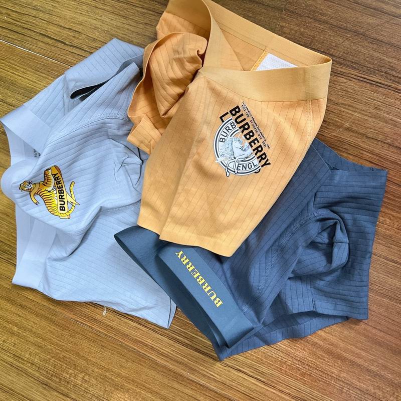 Burberry boxer L-3XL  (4)