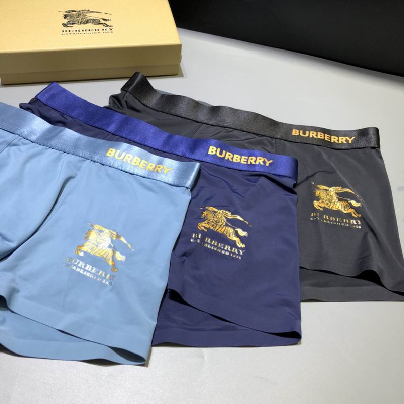 Burberry boxer L-3XL  (4)