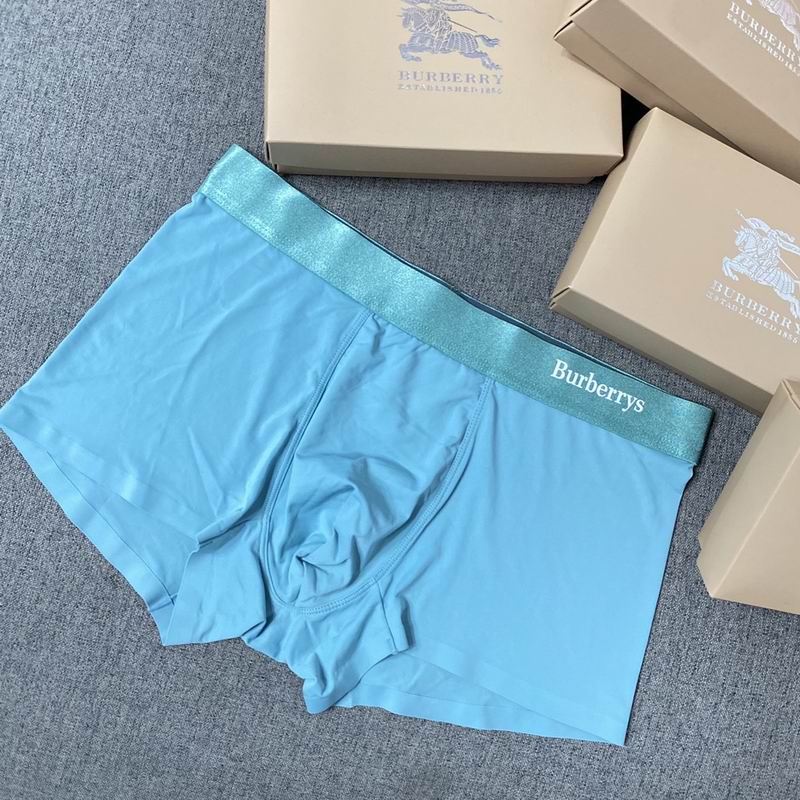 Burberry boxer L-3XL  (4)