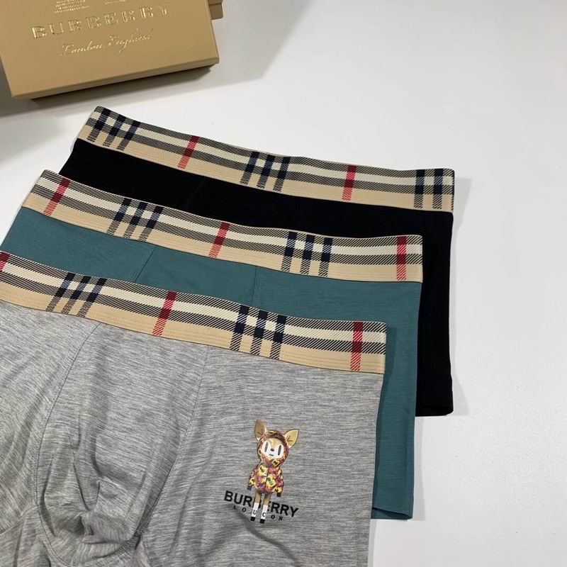 Burberry boxer L-3XL  (4)