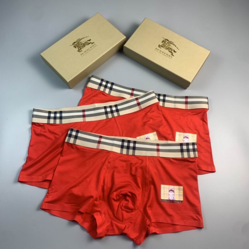 Burberry boxer L-3XL  (4)