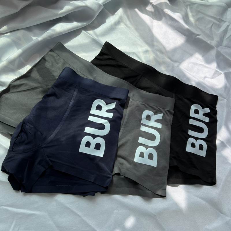 Burberry boxer L-3XL  (4)