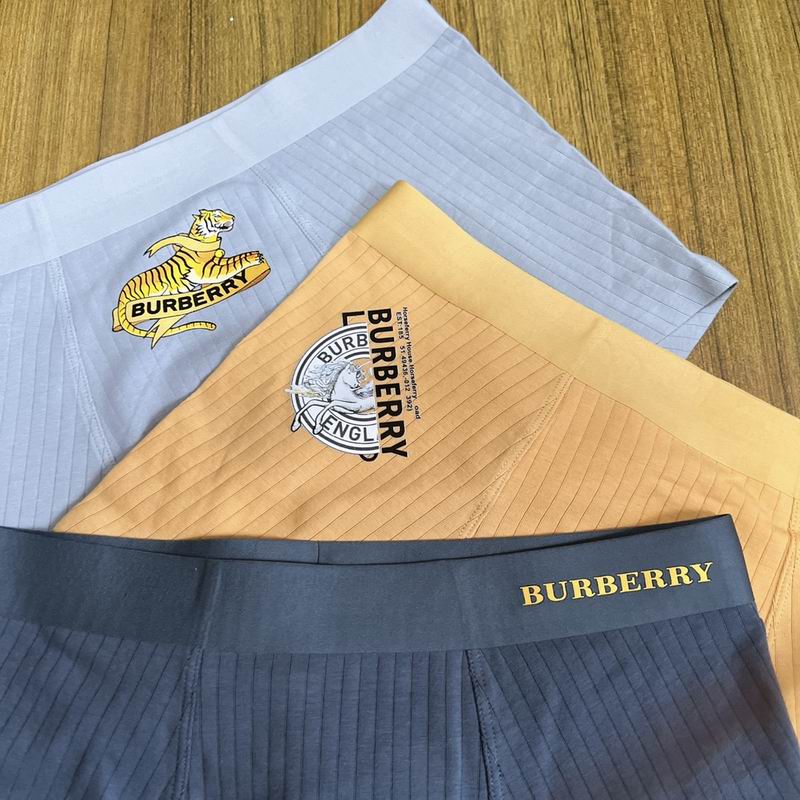 Burberry boxer L-3XL  (5)