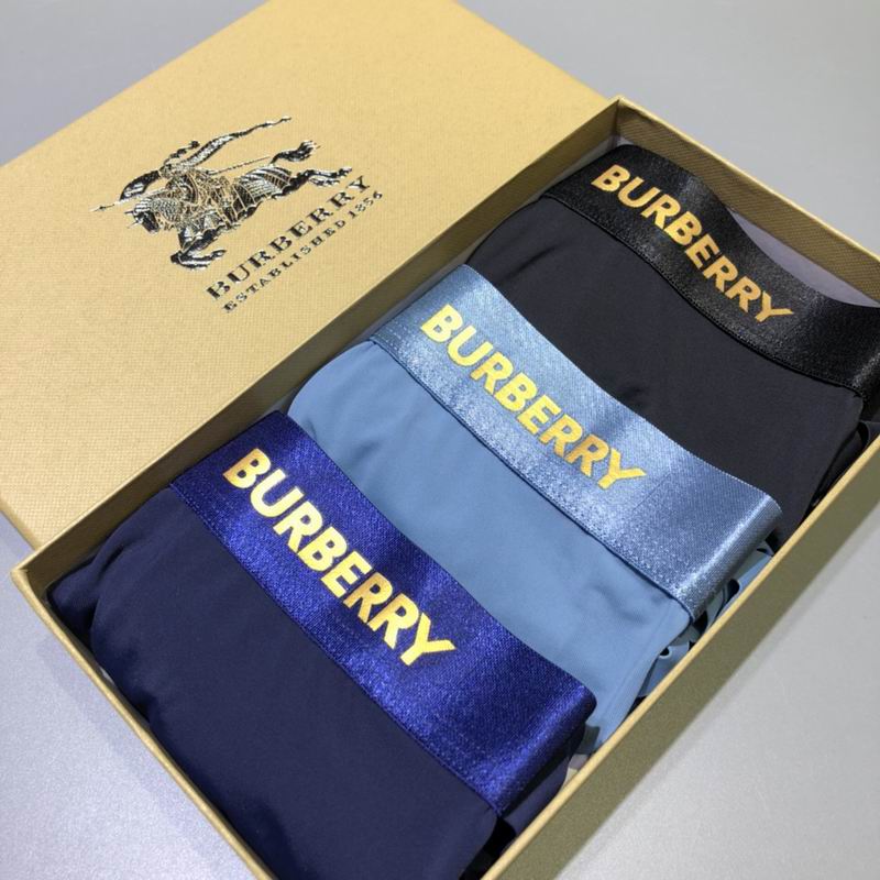 Burberry boxer L-3XL  (5)