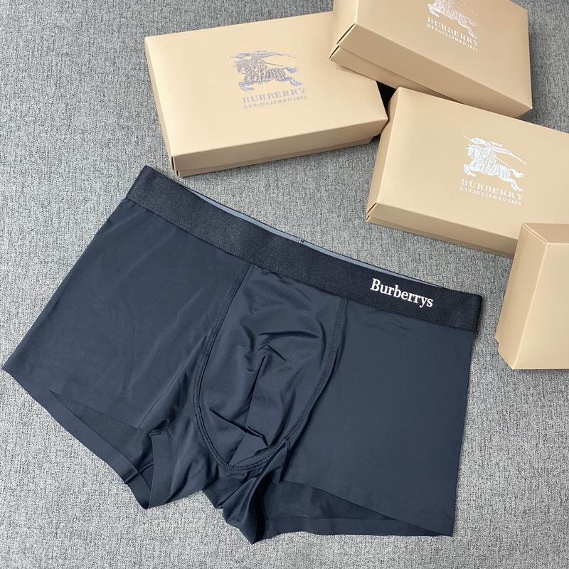 Burberry boxer L-3XL  (5)