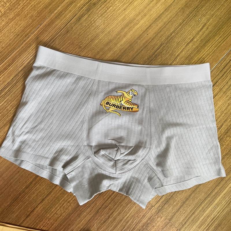 Burberry boxer L-3XL  (6)