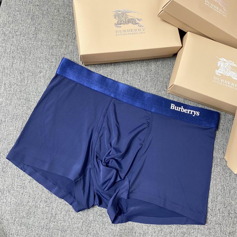 Burberry boxer L-3XL  (6)