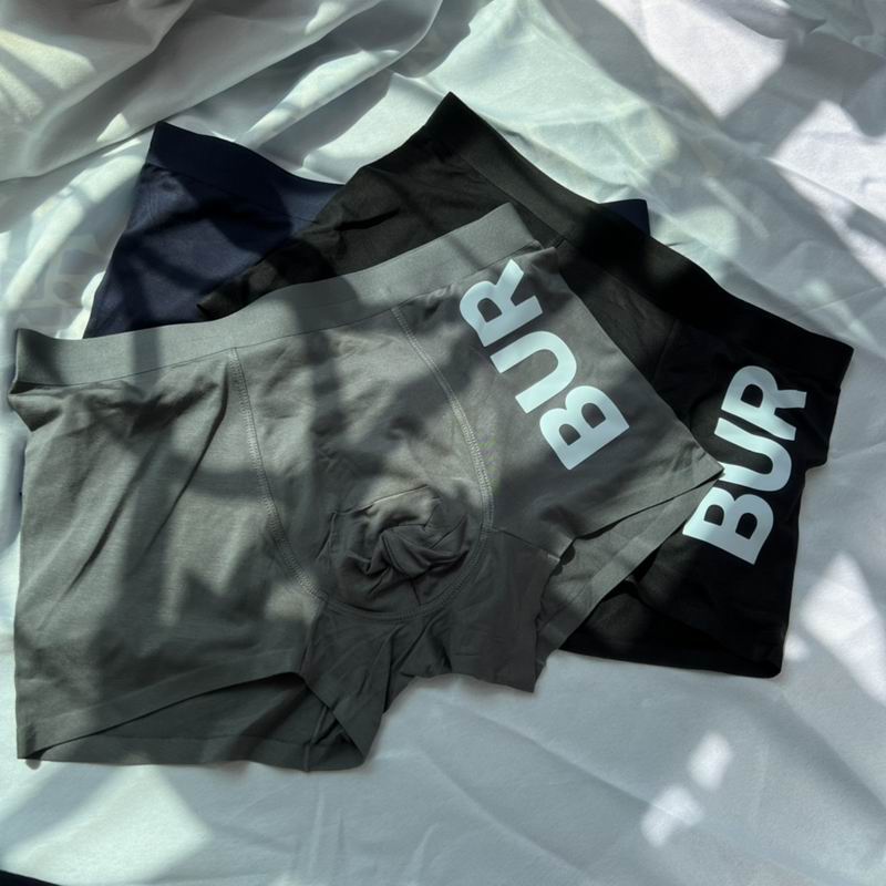 Burberry boxer L-3XL  (6)